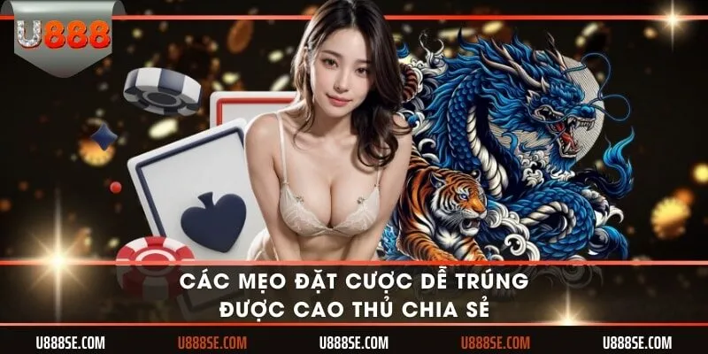 Các mẹo đặt cược dễ trúng được cao thủ chia sẻ