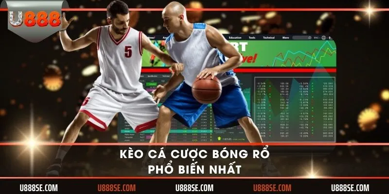 Kèo cá cược bóng rổ phổ biến nhất