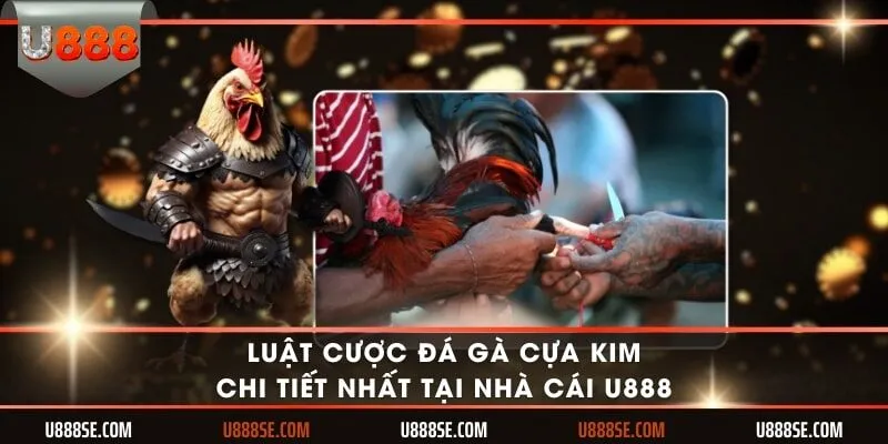 Đá gà cựa kim