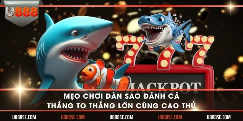 Dàn sao đánh cá