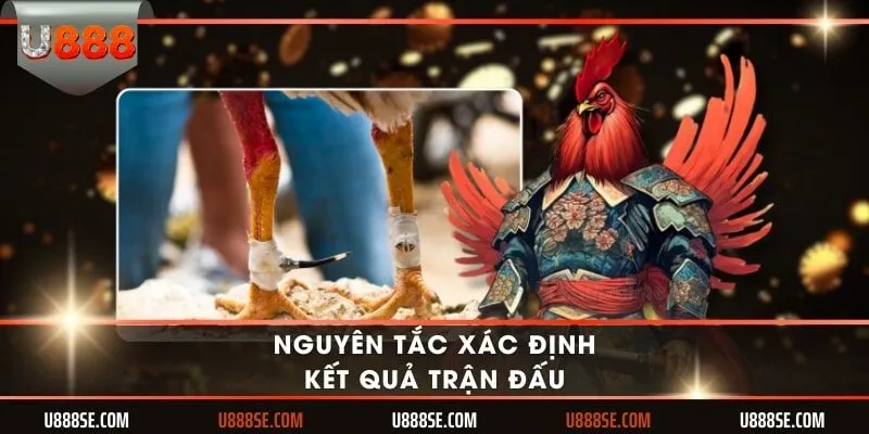 Nguyên tắc xác định kết quả trận đấu