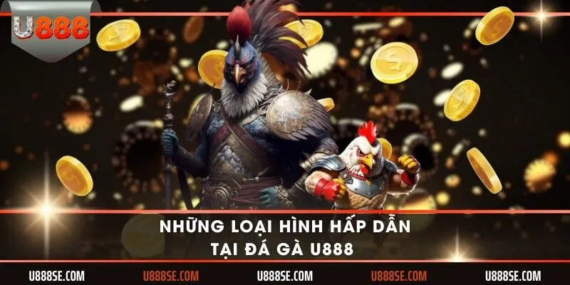 Những loại hình hấp dẫn tại đá gà U888 