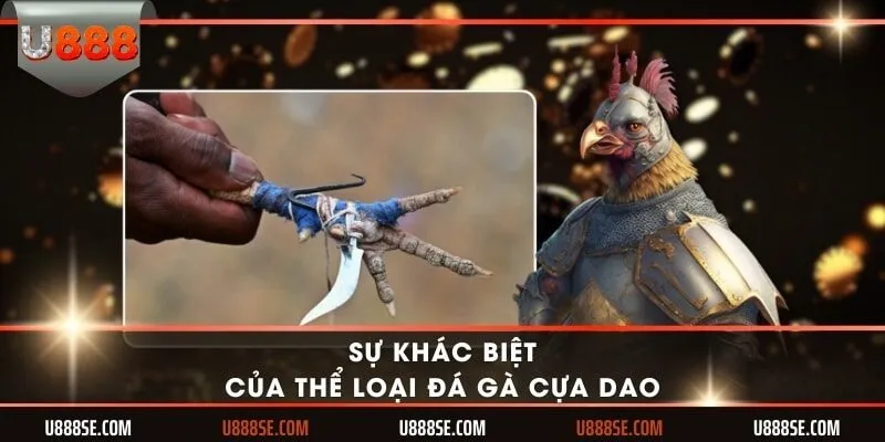 Sự khác biệt của thể loại đá gà cựa dao