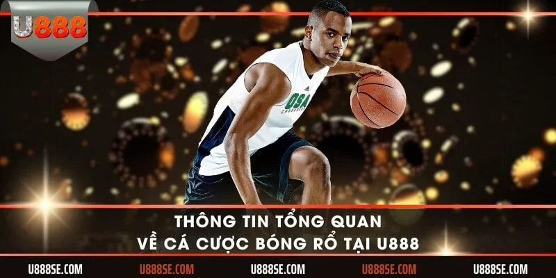 Thông tin tổng quan về cá cược bóng rổ tại U888