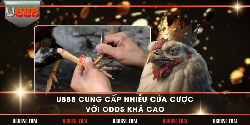 U888 cung cấp nhiều cửa cược với odds khá cao