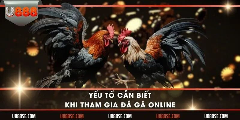 Yếu tố cần biết khi tham gia đá gà online